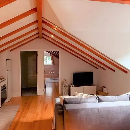 Apartamento A Window To - Fabulous By Douro River *